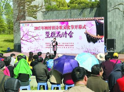 第七届“上海樱花节” 31天里150多万人尽兴赏樱