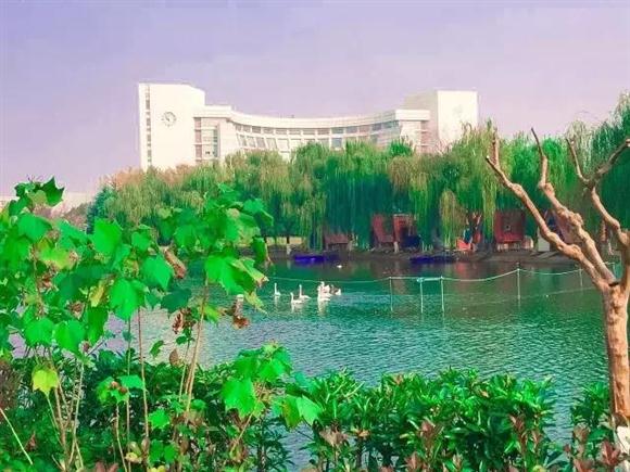 上海各大高校里竟藏了这么多秘密好地方 五一假期好逛逛