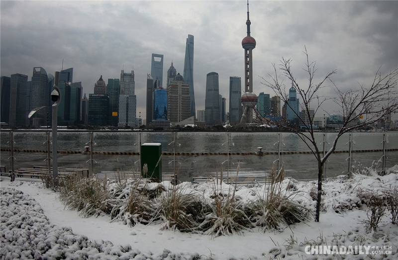 暴雪过后 银装素裹的上海