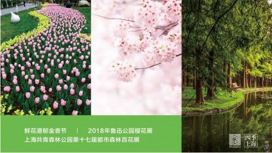 2018春季上海旅游最新指南发布 来看看吧