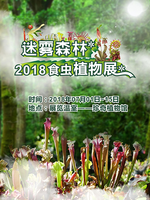 辰山植物园即将举办“迷雾森林”主题食虫植物展