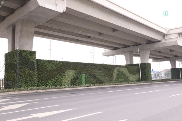 上海辰山植物园“城市低光照区域立体绿化技术集成”项目取得进展