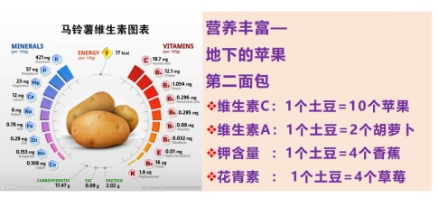 上海交大为国家马铃薯主食化战略再添助力