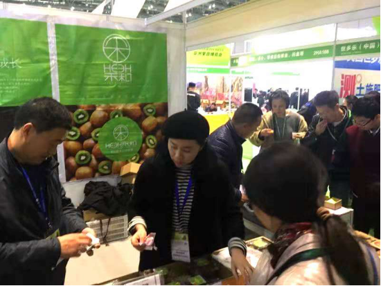 陕西猕猴桃热销上海亚洲果蔬博览会